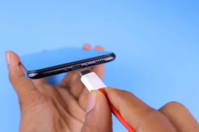 Rosy Bingo Casino Mobile App